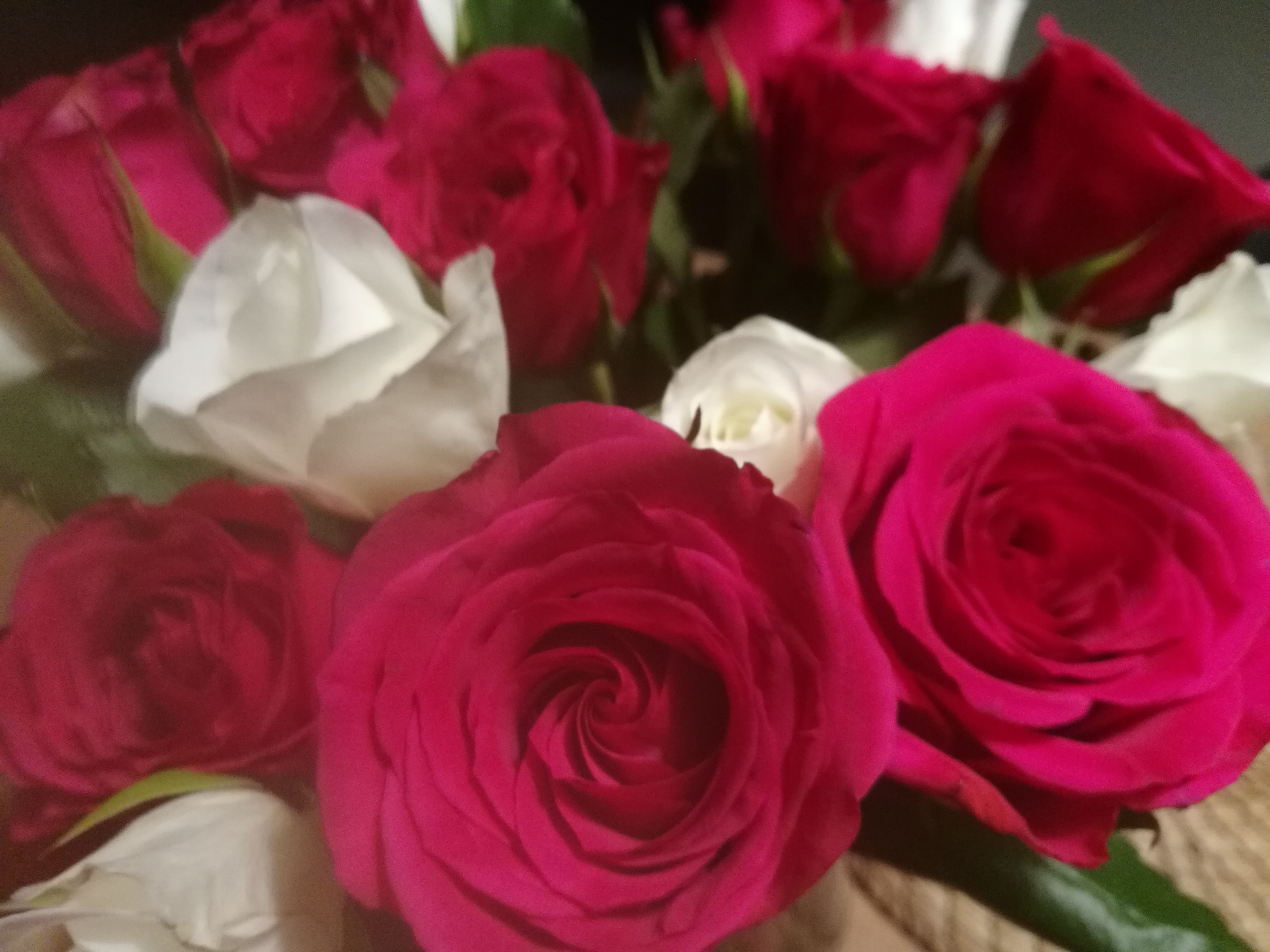 Ruusukimppu, jossa punaisia ja valkoisia ruusuja.