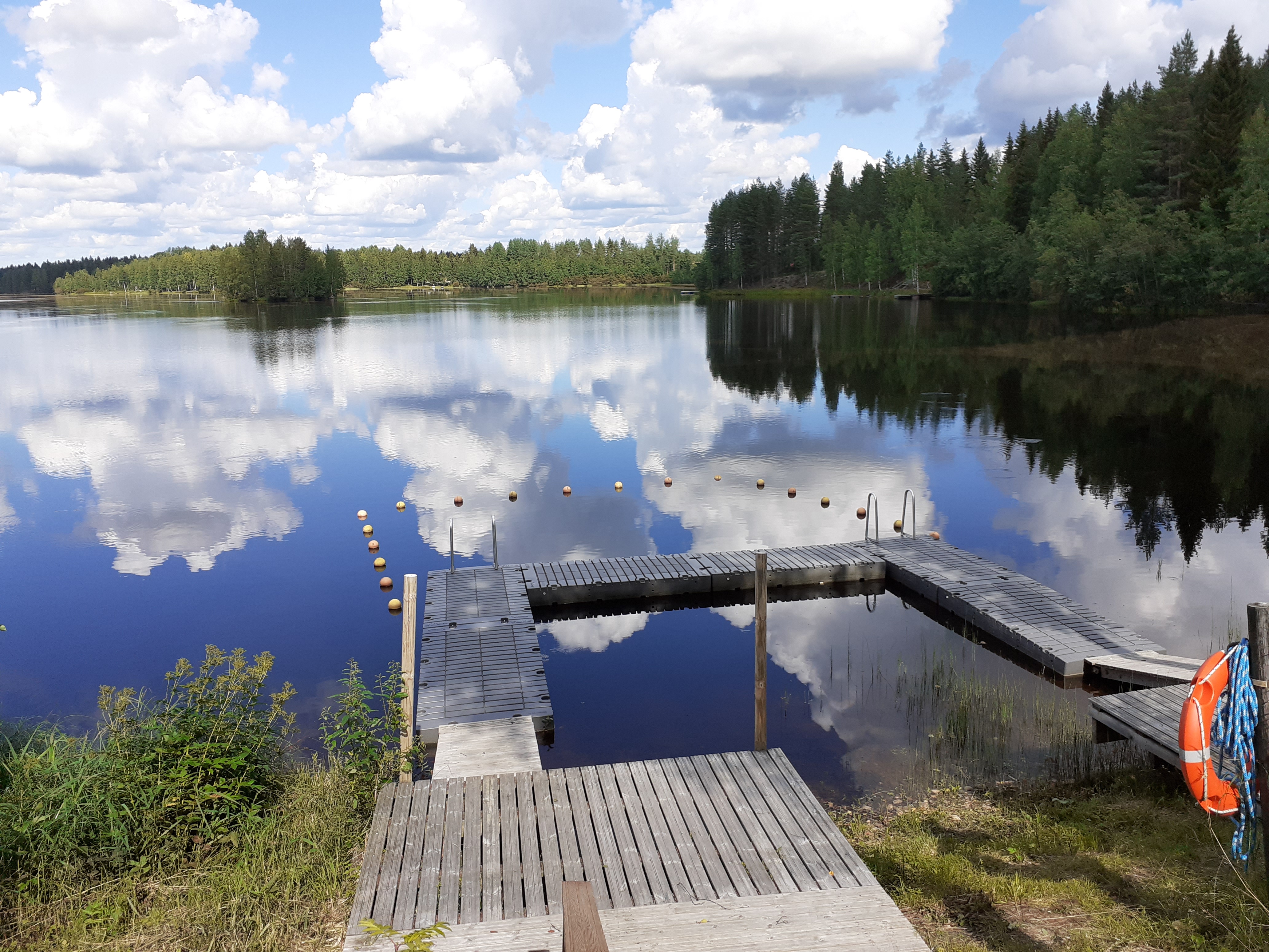 Luomakunnan sunnuntai