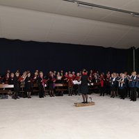 Avaa kuva isommaksi Kuvat Anna-Mari Tuovinen.